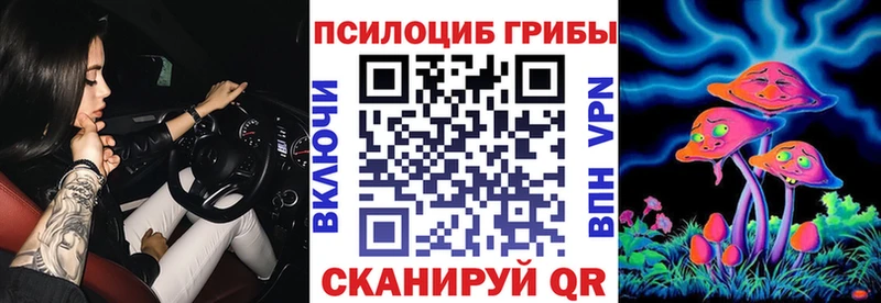 где найти наркотики  Южа  Галлюциногенные грибы MAGIC MUSHROOMS 